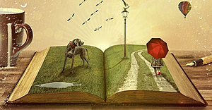 Rivista-impresa-sociale-cds-in-una-coprogettazione-e-legittimo-rimborsare-i-costi