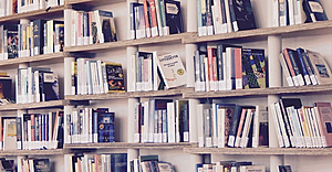 Rivista-impresa-sociale-la-sentenza-che-carlo-borzaga-avrebbe-amato