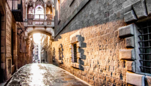 Rivista-impresa-sociale-le-imprese-di-inserimento-in-catalogna